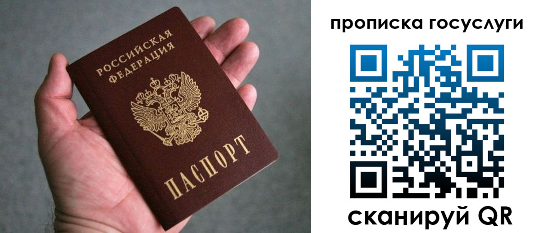 прописка 2025 в Дальнегорске